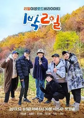 可可音乐节 综艺 2026
